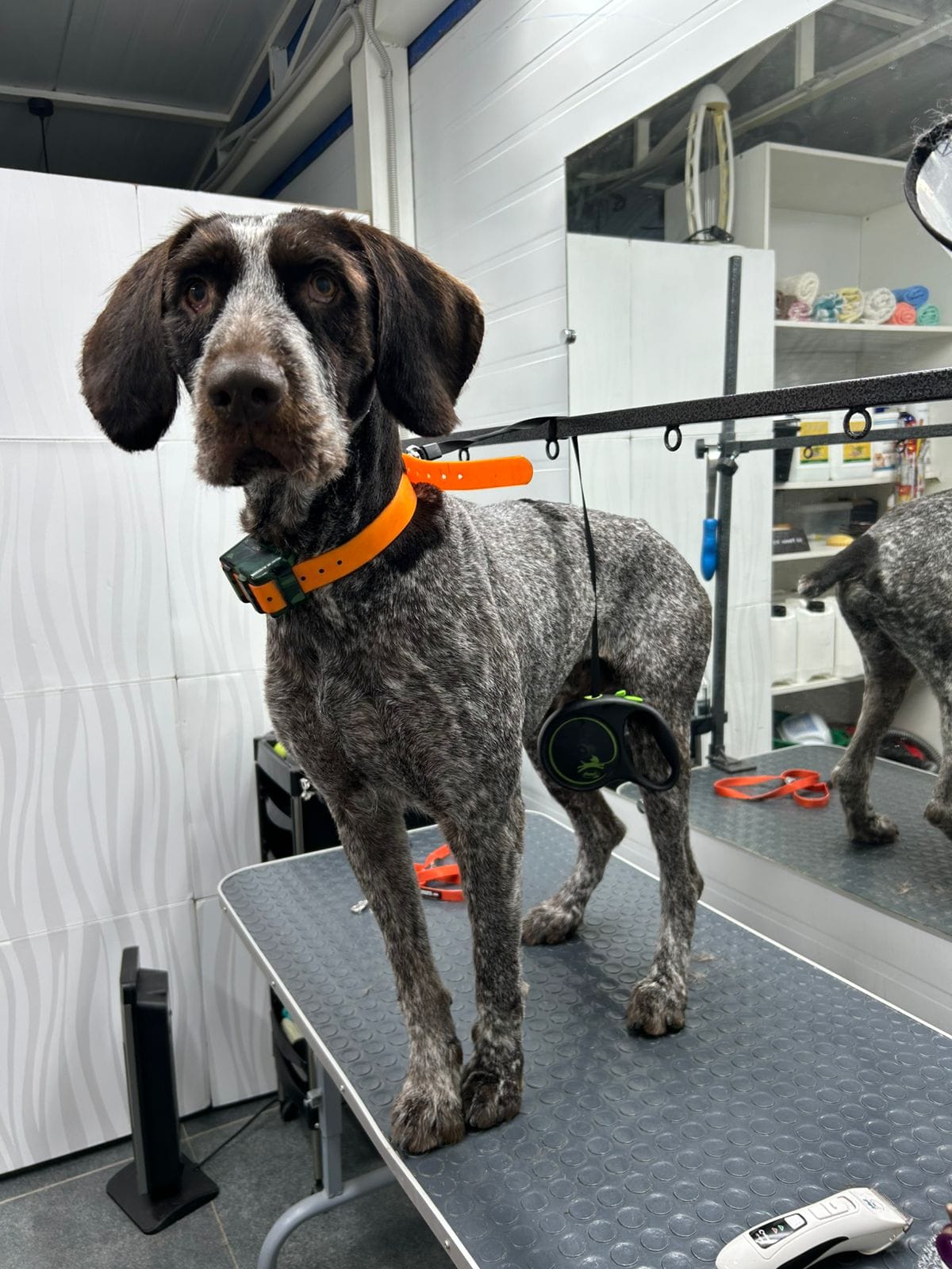 После груминга 2