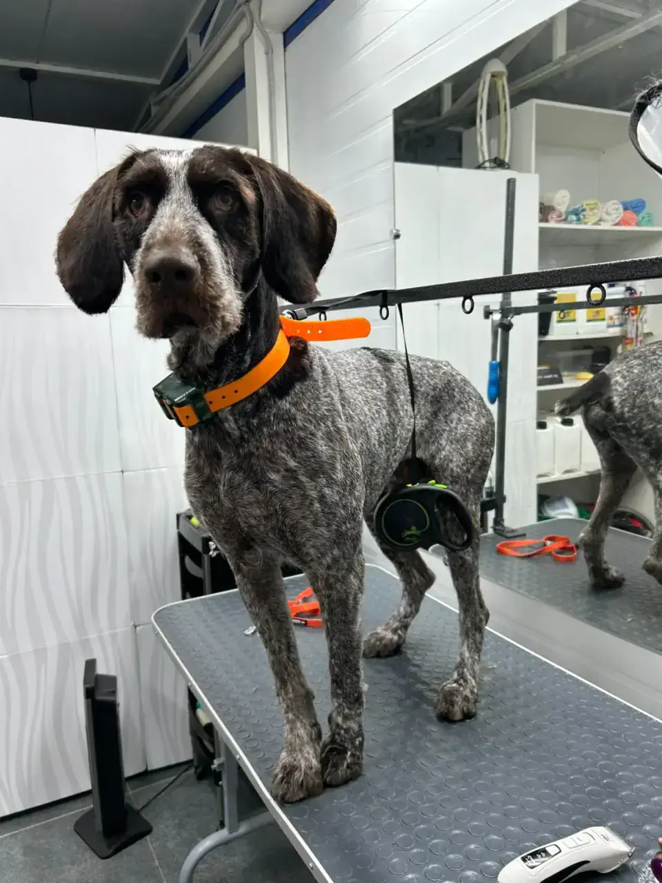 Грумингтен кейін 2